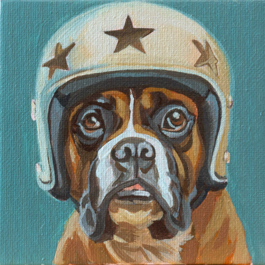 Humorous portrait of a dog wearing a military helmet with stars, showcasing its adorable expression.